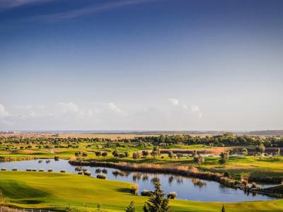 Grüne Landschaft mit Seen, Bäumen und weitem blauem Himmel mit leichten Wolken.