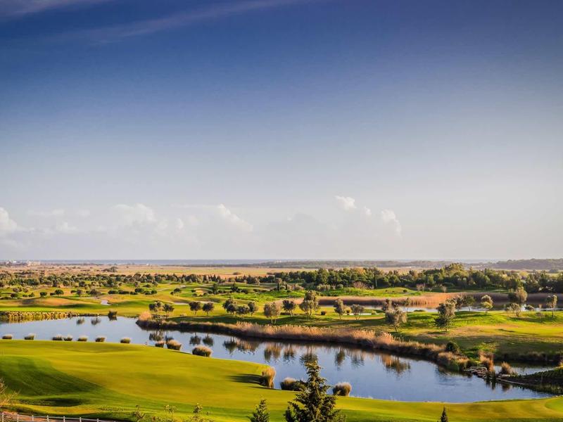 Grüne Landschaft mit Seen, Bäumen und weitem blauem Himmel mit leichten Wolken.