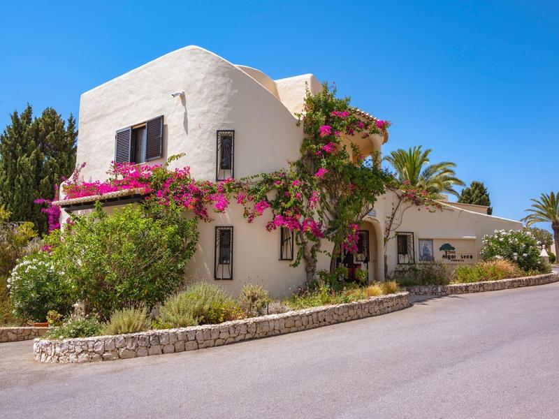Weißes Haus mit pinken Blumen, grünen Pflanzen und blauem Himmel an einer ruhigen Straße.