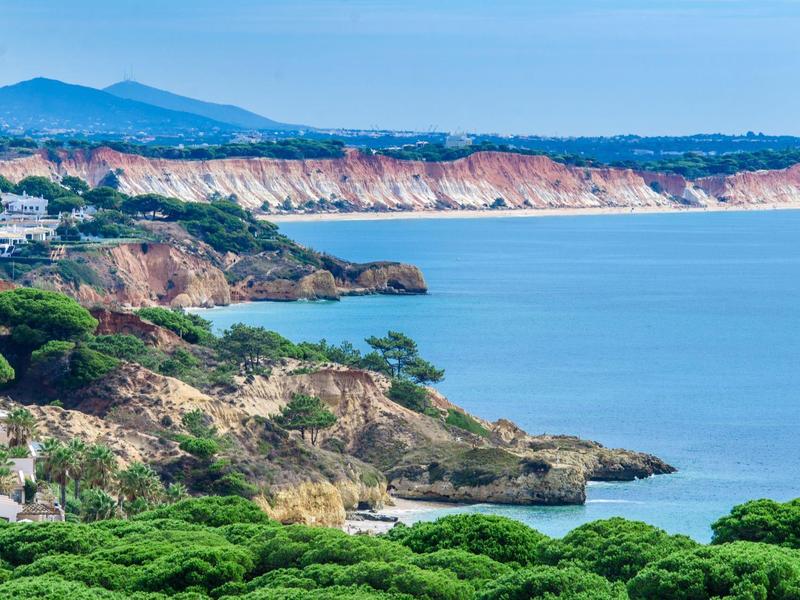 Paisaje costero con acantilados, mar azul y árboles verdes en primer plano.