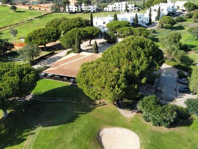 Grüner Golfplatz mit großen Bäumen und einigen Gebäuden im Hintergrund.