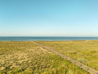 Ein Holzsteg führt durch grüne Dünenlandschaft zum blauen Meer unter klarem Himmel.