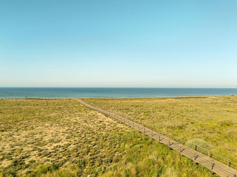 Ein Holzsteg führt durch grüne Dünenlandschaft zum blauen Meer unter klarem Himmel.