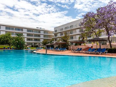 Großer blauer Pool vor mehrstöckigem Hotel mit Liegestühlen und blühendem Jacaranda-Baum.