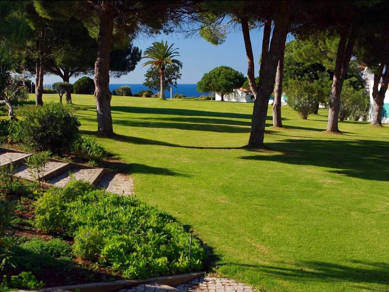 Giardino verde con alberi e vista sul mare blu dietro un hotel.