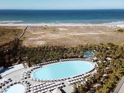 Großer ovaler Pool mit Sonnenliegen umgeben von Palmen nahe am Strand und Meer.