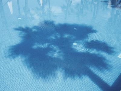 Blauer Pool mit Schatten einer Palme und Liegestühlen im Hintergrund