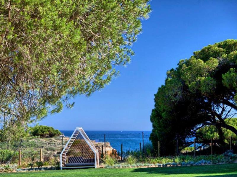 Giardino verde con grandi alberi e vista sul mare blu sotto un cielo limpido.
