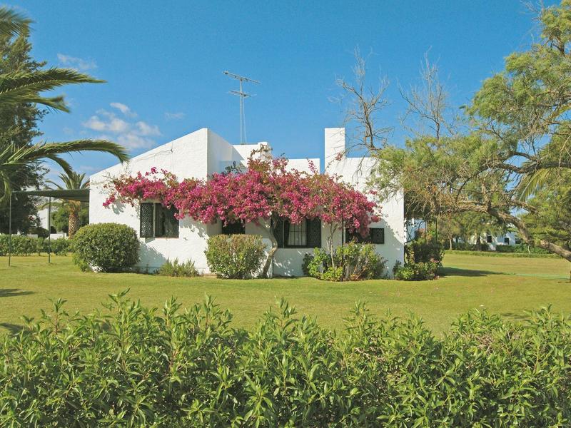 Weißes Haus mit blühenden roten Kletterpflanzen, umgeben von grünem Rasen und Bäumen bei blauem Himmel.
