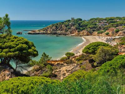 Kleine Bucht mit Sandstrand, umgeben von grünen Büschen und Bäumen, unter blauem Himmel.