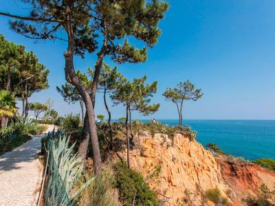 Klippenweg mit Bäumen, Pflanzen und Blick auf das blaue Meer unter klarem Himmel.