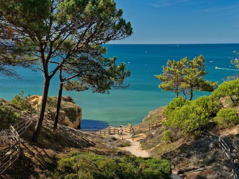 Küstenlandschaft mit blauem Meer, grünem Buschwerk, Felsen und zwei Bäumen bei klarem Himmel.