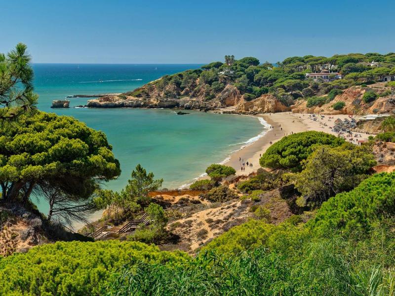 Kleine Bucht mit Sandstrand, umgeben von grünen Büschen und Bäumen, unter blauem Himmel.