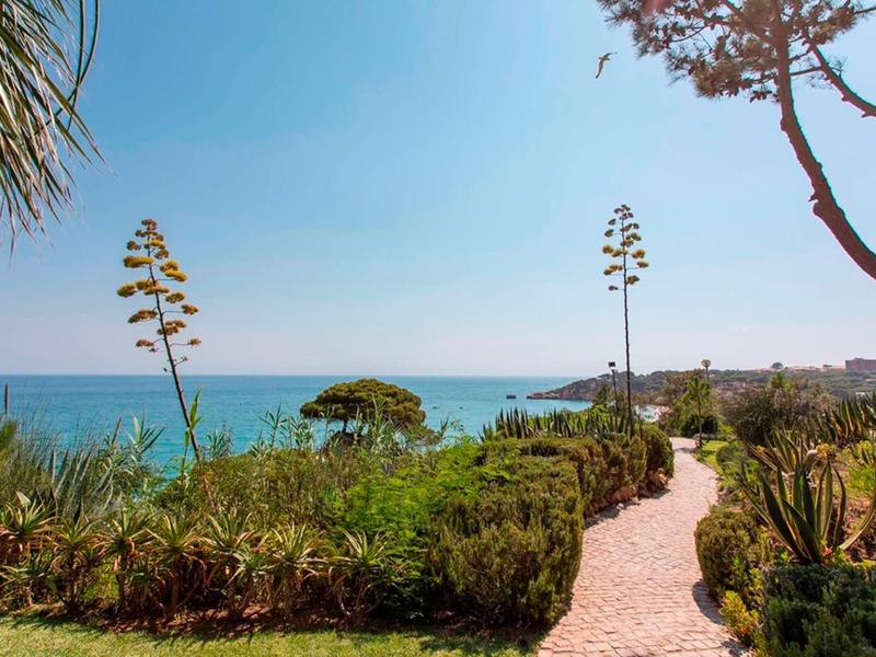 Schmaler Weg durch grüne Vegetation mit Meerblick und blauem Himmel im Hintergrund.