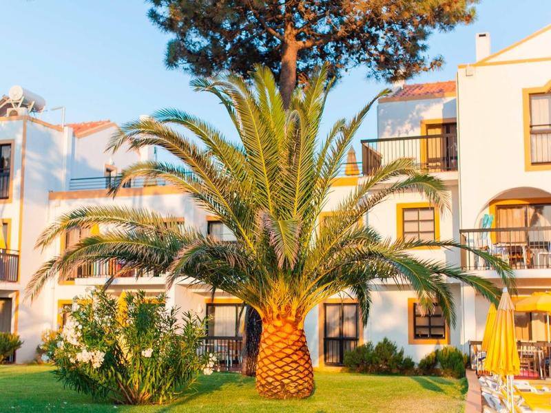 Große Palme mit breiten, grünen Blättern vor mehrstöckigem, weißem Gebäude im sonnigen Garten.