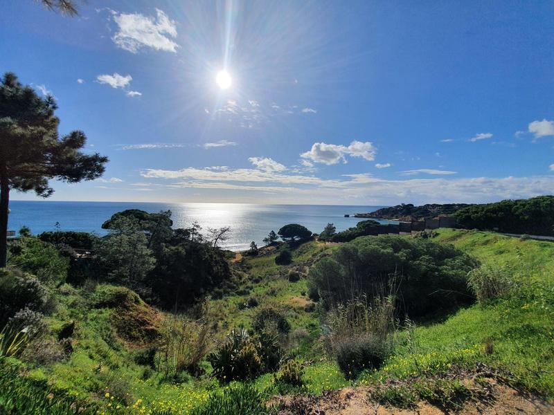 Grüne Hügel mit Bäumen und Sträuchern vor blauem Meer unter hellem Sonnenlicht.