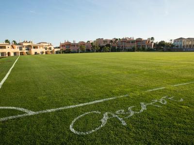 Leerer Tennisplatz mit blauem Spielfeld und grünem Außenbereich unter klarem Himmel