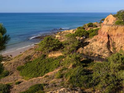 Klippen mit grünem Bewuchs an der Küste, darunter ein Sandstrand und ruhiges blaues Meer.