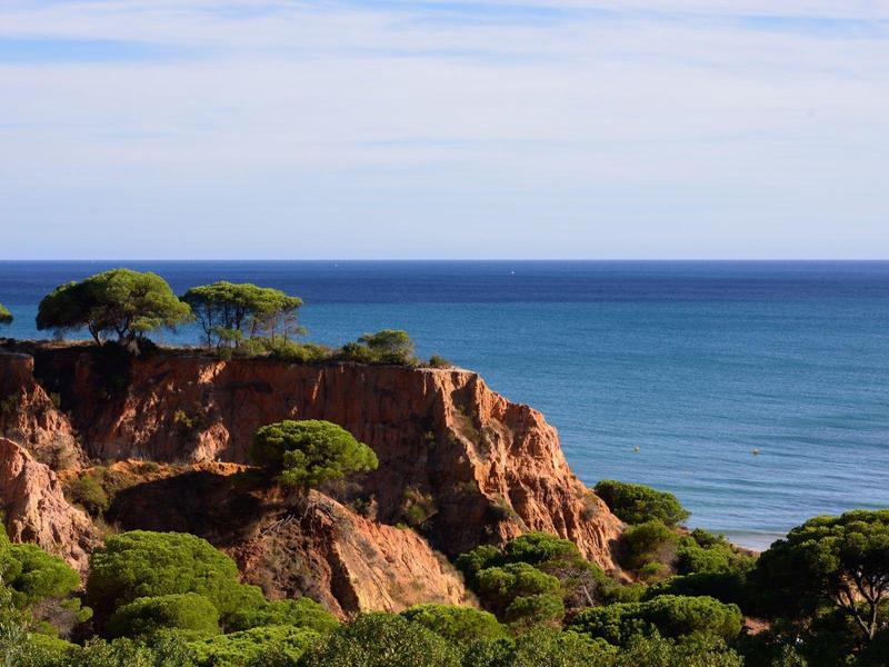 Klippen mit grünen Bäumen am Ufer, blauer Himmel und ruhiges Meer im Hintergrund.