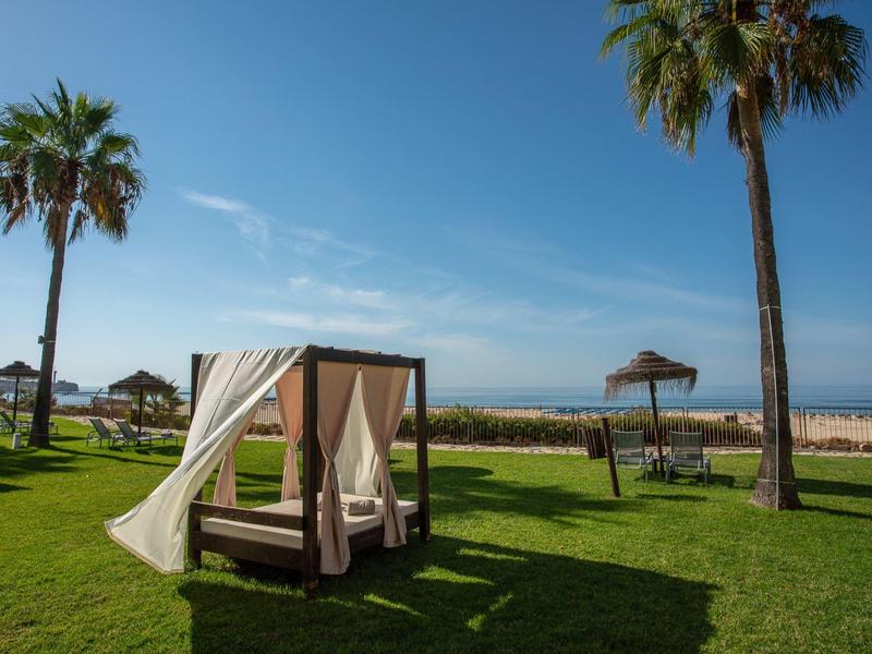 Pelouse verte avec palmiers, un lit à baldaquin et vue sur une plage de sable sous un ciel bleu.