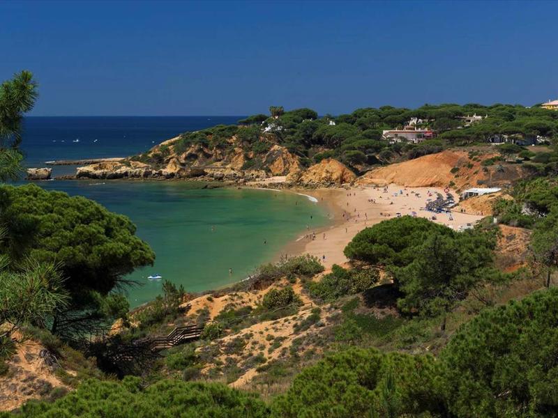 Klein zandstrand in een rustige baai met helder blauwgroen water en omliggende groene begroeiing.