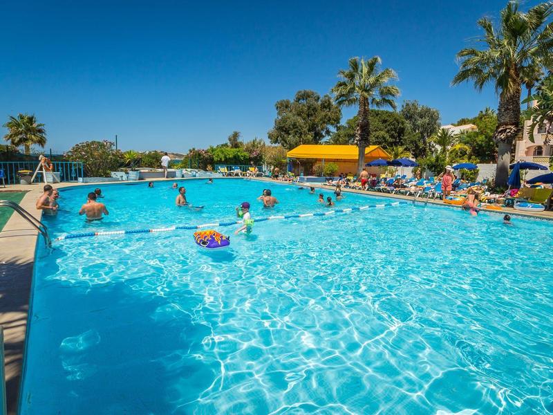 Druk buitenzwembad op een zonnige dag met palmbomen en gasten in het water en aan de rand.