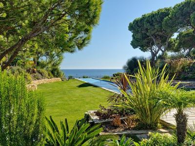 Grüner Garten mit exotischen Pflanzen und Blick auf das Meer unter klarem Himmel.