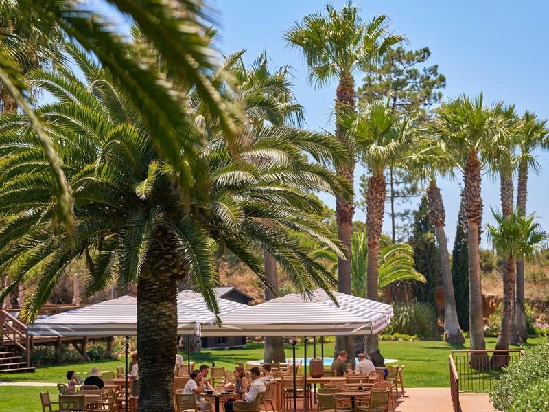 Grüner Garten mit Palmen, Tischen und Sonnenschirmen unter klarem blauem Himmel.