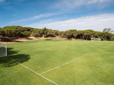 Wide green soccer field with goals and trees in the background under a blue sky.