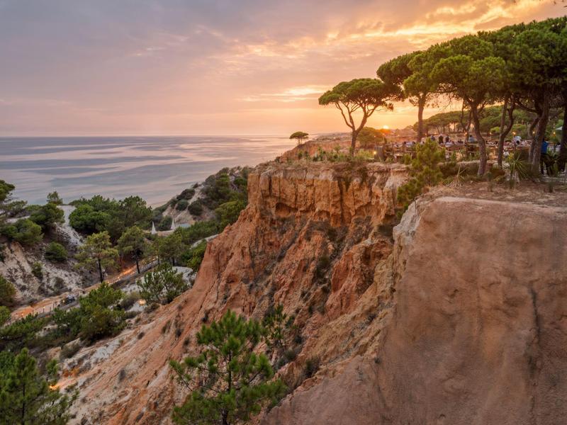 Sonnenuntergang am steilen Küstenkliff mit Pinien und Blick aufs Meer.