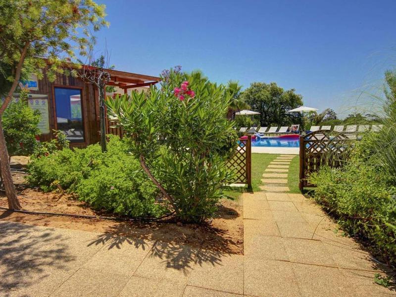 Een zonnig tuinpad met dichte groene begroeiing en een houten hek op de achtergrond.