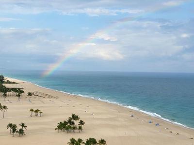 A beach with palm trees and a rainbow in the sky over the ocean.