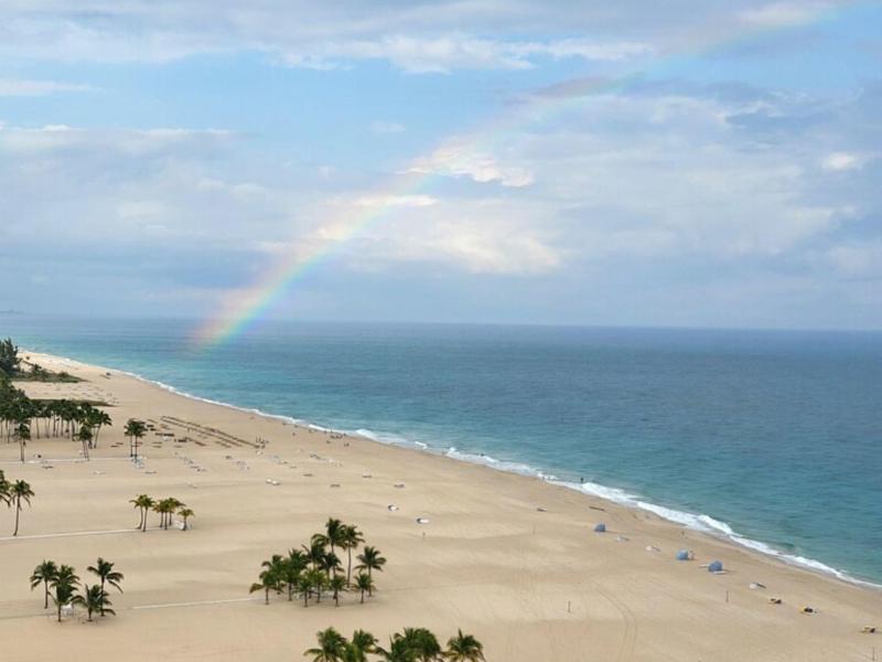 A beach with palm trees and a rainbow in the sky over the ocean.