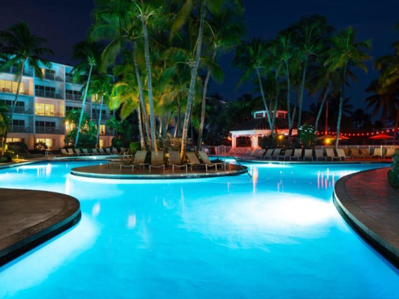 Illuminated outdoor pool at a resort with lounge chairs and palm trees at night.