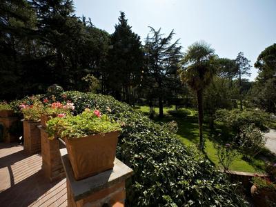 Blumenkästen auf einer Terrasse mit Blick auf einen sonnigen Garten mit Bäumen und einem Weg.