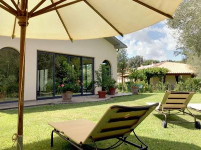Liegestühle unter Sonnenschirmen auf einer grünen Wiese vor einem Haus mit Terrasse.