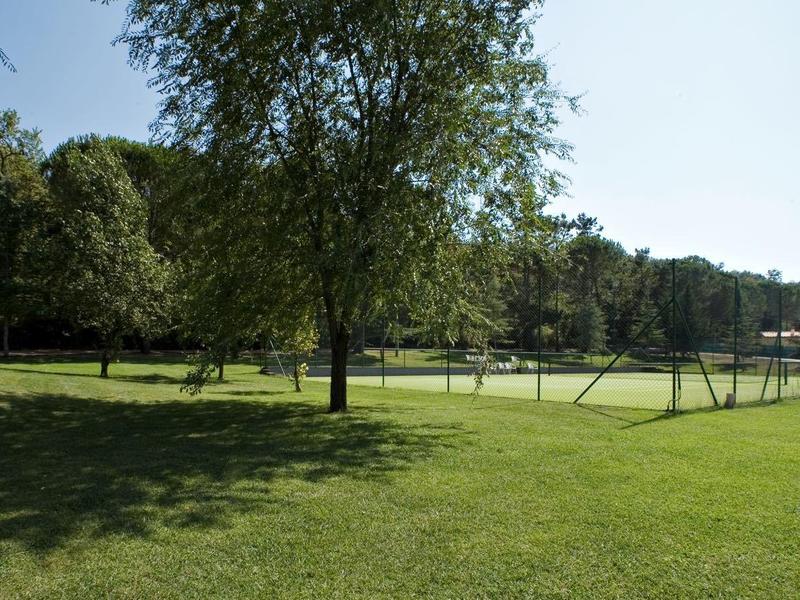 Przestronny zielony trawnik w parku z drzewami i czystym niebem