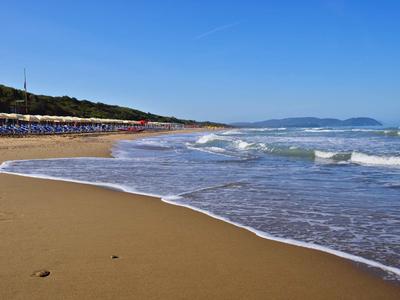 Spiaggia con onde delicate, sabbia e sfondo boschivo sotto un cielo azzurro sereno.