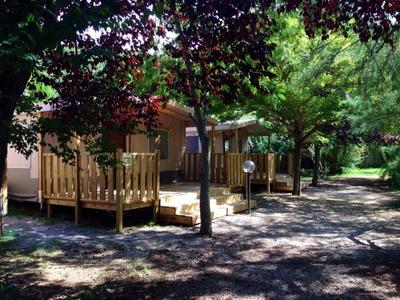 Holzbungalows mit Veranden in einem schattigen, bewaldeten Bereich eines Hotels oder Resorts.