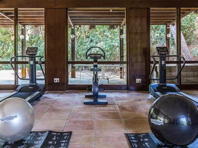 Una sala de gimnasio con cintas de correr, bicicleta estática y pelotas de ejercicio frente a grandes ventanales con vista al bosque.