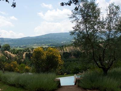 Landscape with vineyards and hills under blue sky with clouds, trees in the foreground.