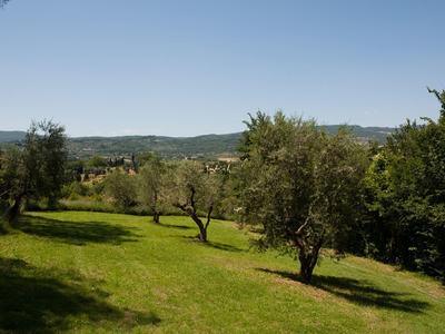 Green meadows with scattered trees under clear blue sky and hills in the background.