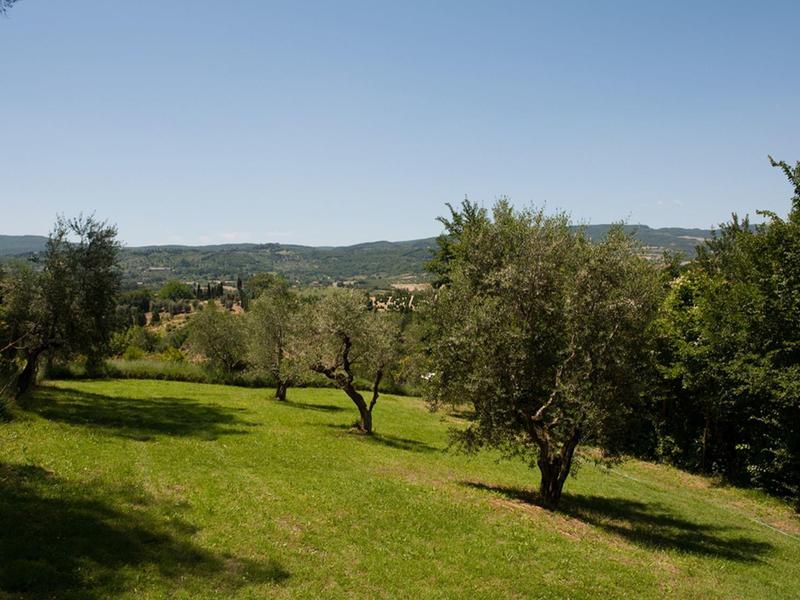 Green meadows with scattered trees under clear blue sky and hills in the background.