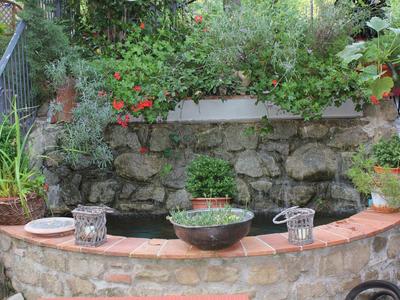 Kleiner Gartenteich mit Steinmauer, umgeben von Pflanzen und Blumentöpfen auf rotem Mauerwerk.