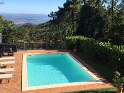 Small pool in a garden with trees and hills in the background.