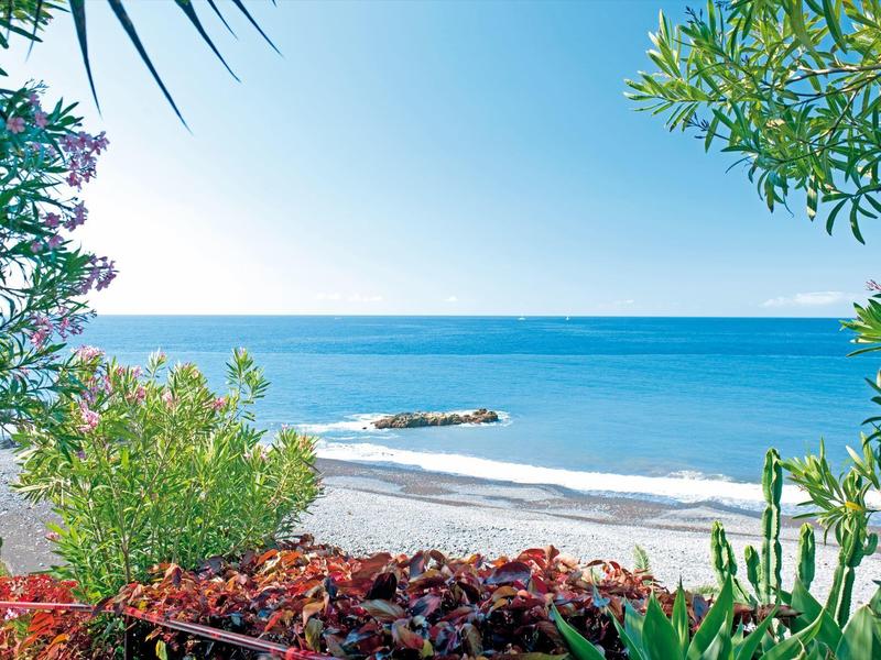 Vue sur l'océan avec un ciel bleu clair et une végétation luxuriante encadrant la plage.