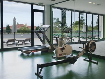 Ein moderner Fitnessraum mit Laufband, Fahrradergometer und Rudergerät vor großen Fenstern mit Blick auf eine Terrasse.