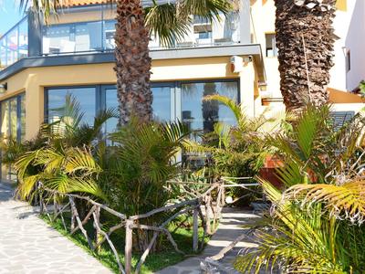 Vstup do hotelu s palmami a skleněnými dveřmi.