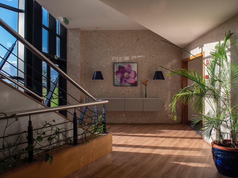 Modern hotel room with large windows, plants, and wooden floor, brightly lit.
