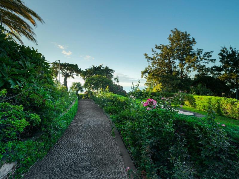 Kamenitá cesta vede zelenou zahradou s keři a stromy pod modrou oblohou.